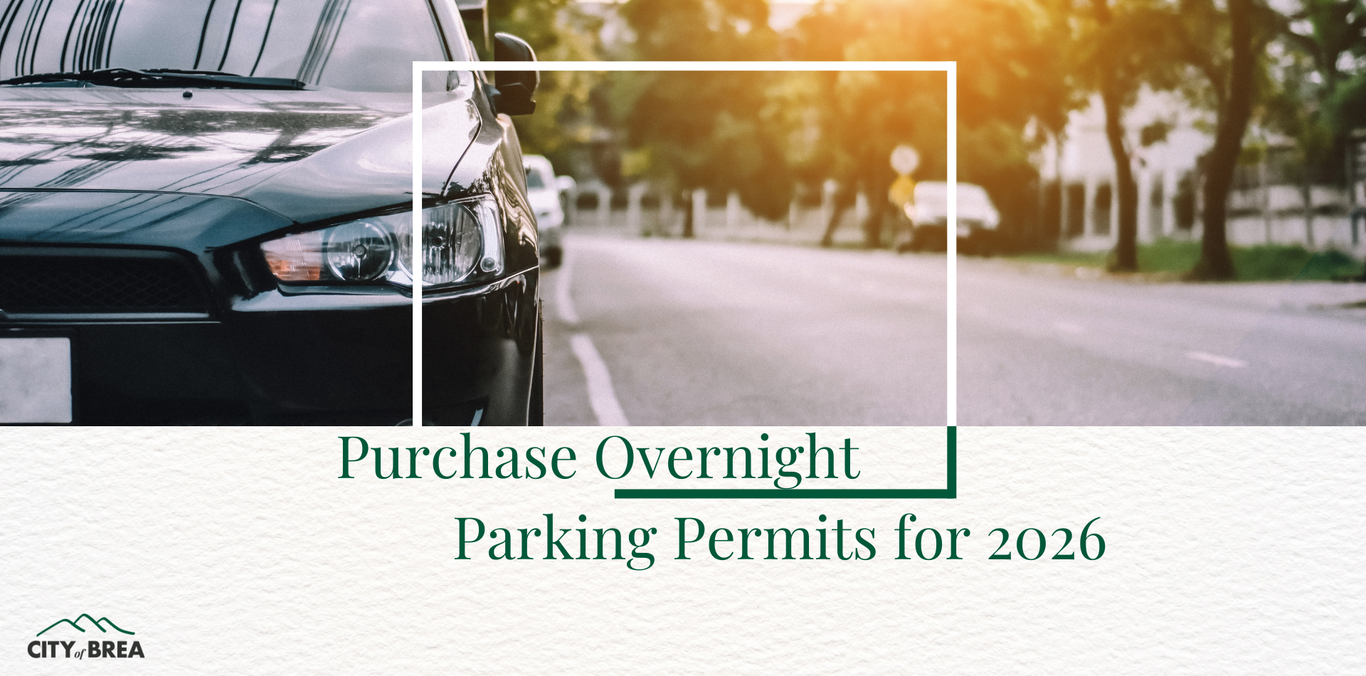 Cars Parking on the side of the road