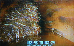 sewer root clog_cr.jpg