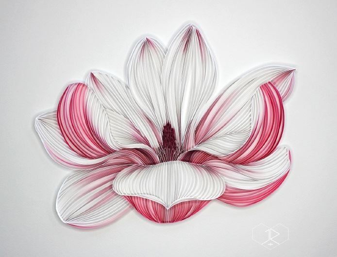 Judith_Magnolia_15x11