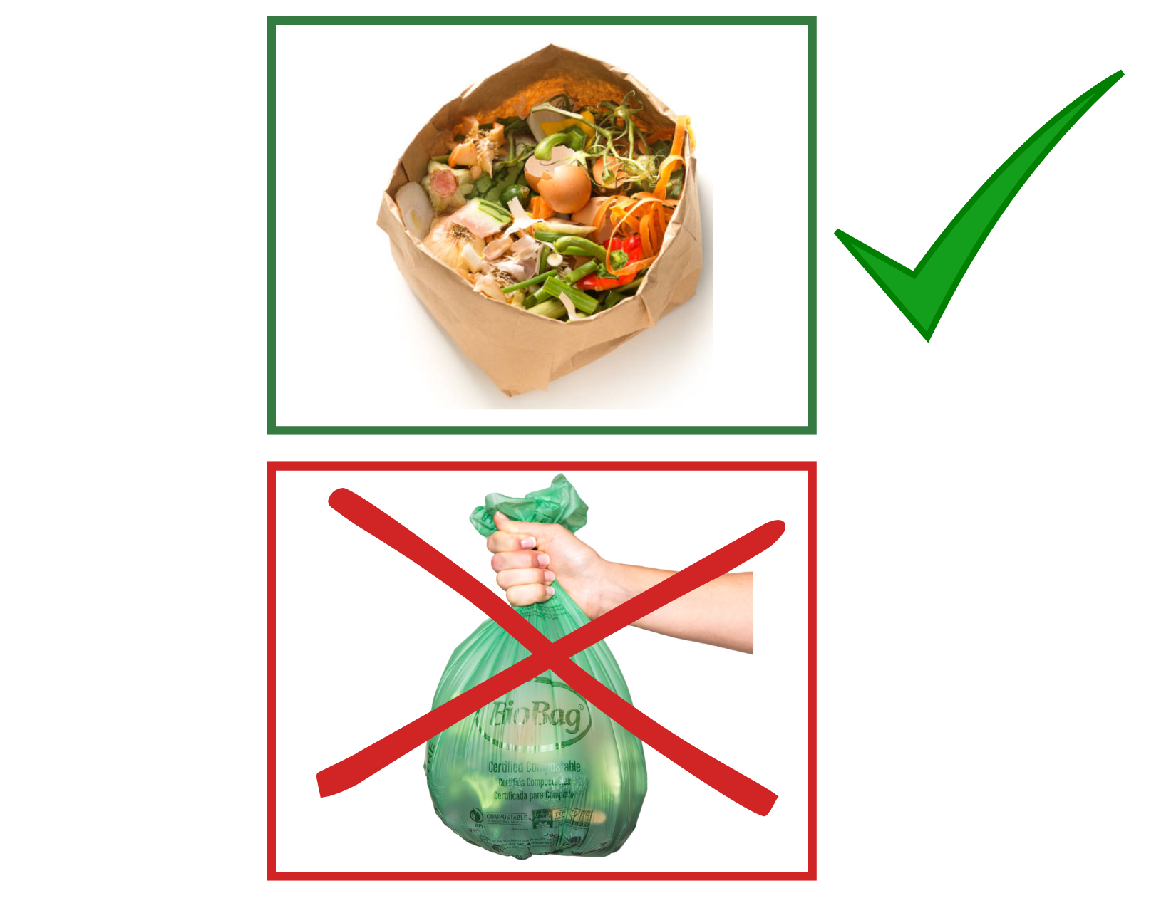 No Biodegradable Bags Allowed in Organics
