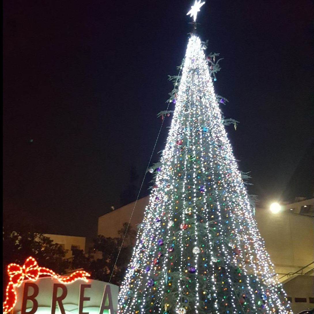 Tree Lighting