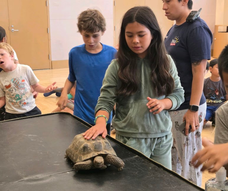 Brea Day Camp! Brea Day Camp!